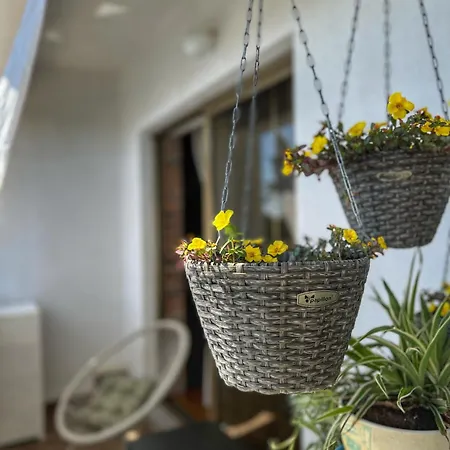 Mia Apartman Palit