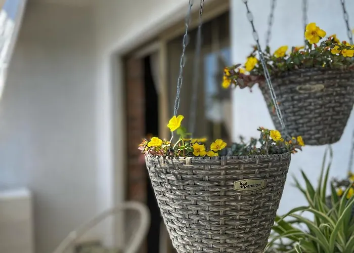 Mia Apartamento Palit