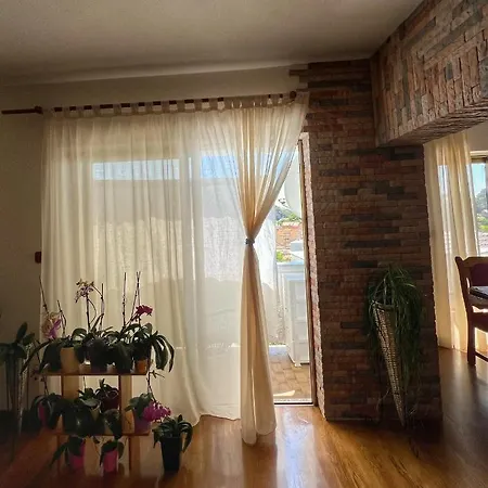 Apartment Mia Palit